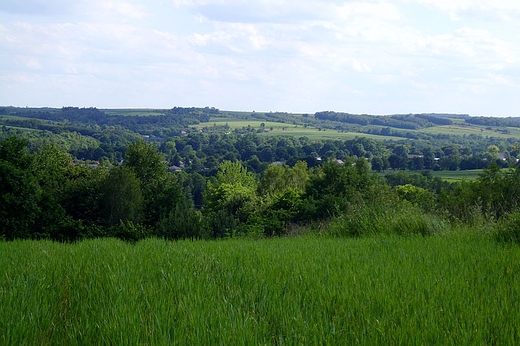 Dolina rzeki kiewka w gminie Gorzkw