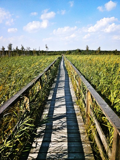 cieka nad Jezioro Moszne