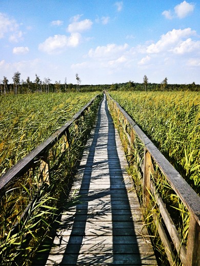 cieka nad Jezioro Moszne