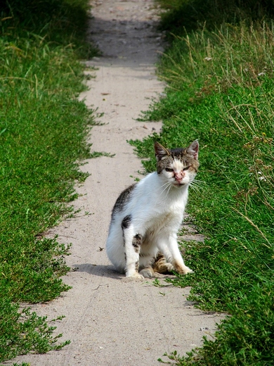 Przyj odpowiedni poz