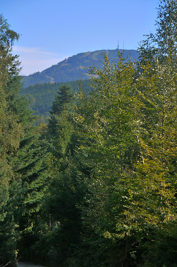 Skrzyczne-1257m npm. widziane ze Szczyrku.