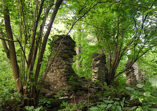 Czartowe Pole - ruiny papierni Zamoyskich