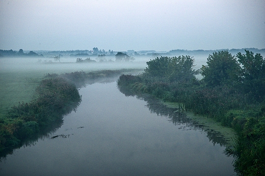 Narew o wicie