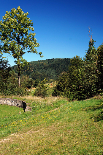 Krajobrazy Beskidu Niskiego w okolicach Czyrnej.
