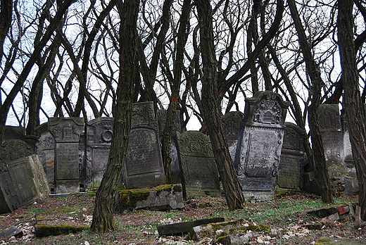 Cmentarz ydowski w Zduskiej Woli