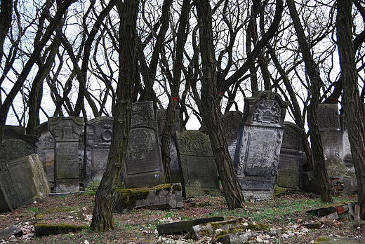 Cmentarz ydowski w Zduskiej Woli