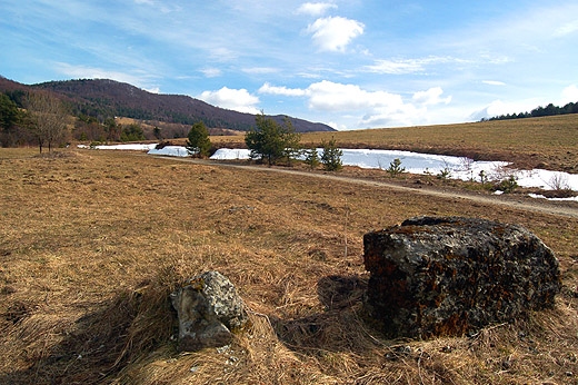 Dolina Bielicznej. Beskid Niski