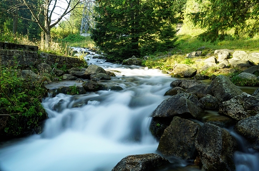 Potok Bystra w Kunicach