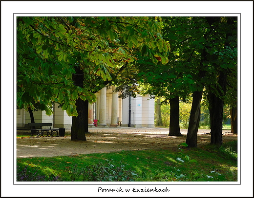 Warszawa. Poranek w azienkach