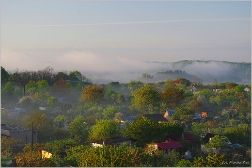 Poranek nad ogrdkami dziakowymi