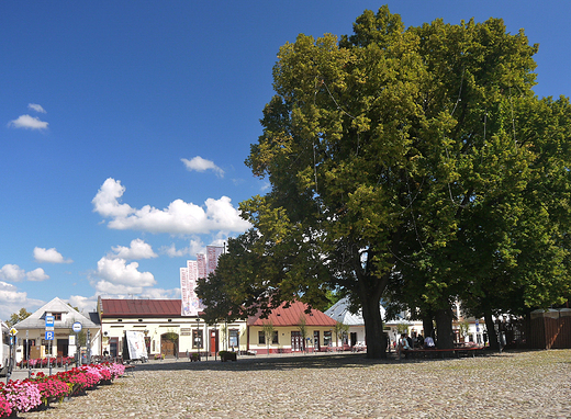 Rynek w Starym Sczu.