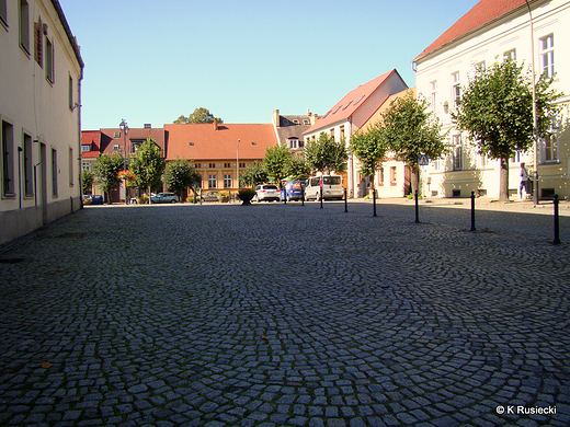 Rynek