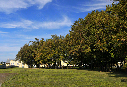 Czechowice-Dziedzice. Paac Kotuliskich. Park.