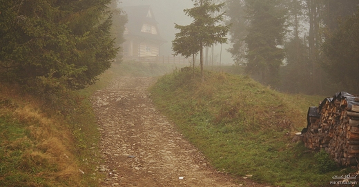 Gorczskie szlaki. opuszna.