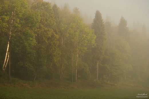 Gorczskie szlaki. opuszna.