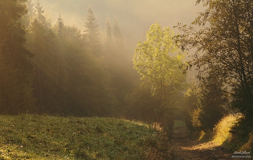 Gorczskie szlaki. opuszna.