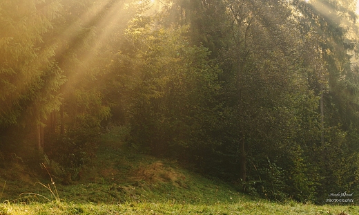 Gorczskie szlaki. opuszna.