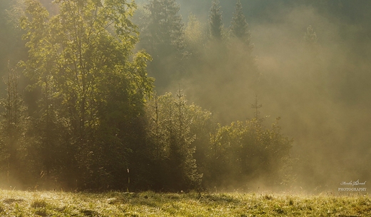 Gorczskie szlaki. opuszna.