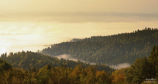 Gorczskie szlaki. opuszna.