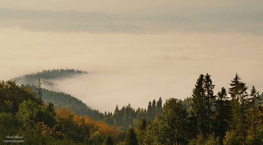 Gorczskie szlaki. opuszna.