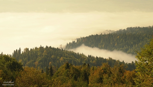 Gorczskie szlaki. opuszna.