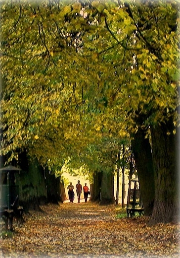 Jesienny park biaoprdnicki w Krakowie