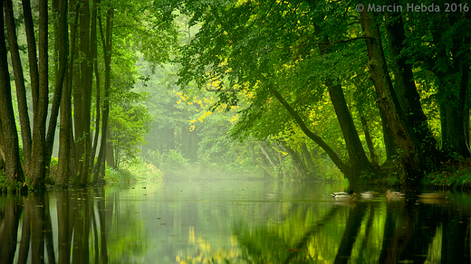 Park miejski - padziernik 2016