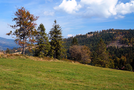 Szczyrk. Przecz Salmopolska 934 mnpm.