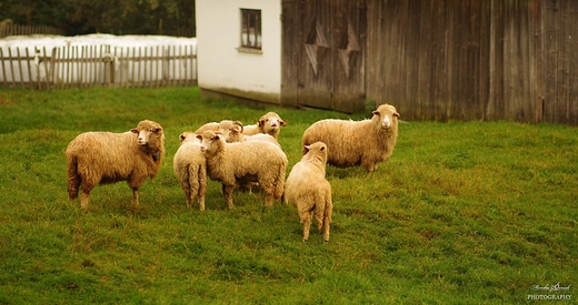 Gorczskie szlaki.