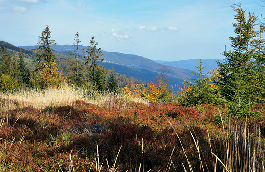 Szczyrk-Salmopol.  Widok na Beskid lski w kierunku Brennej.