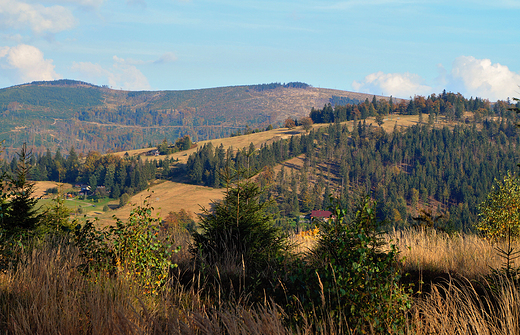 Beskid lski widziany z przeczy na Salmopolu.