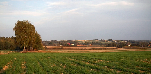 Panorama Skorczyc