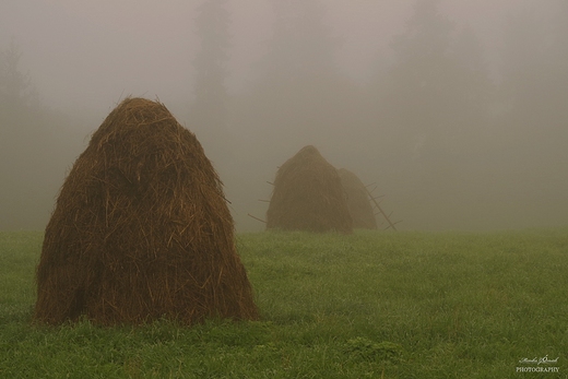 Gorczaskie szlaki.