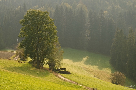 Gorczaskie szlaki.