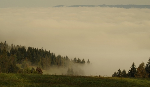 Gorczaskie szlaki.