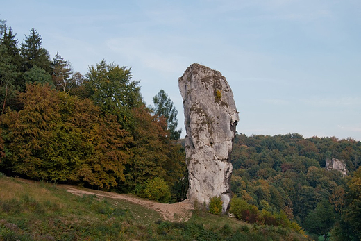 Maczuga Herkulesa