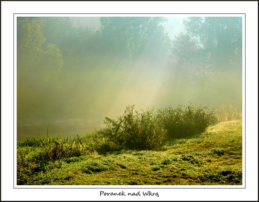 Kosewko. Poranek nad Wkr