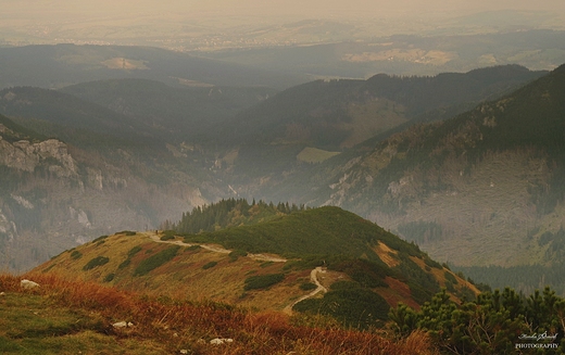 Widok z Trzydniowiaskiego Wierchu.