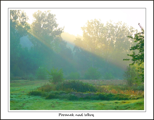 Kosewko. Poranek nad Wkr