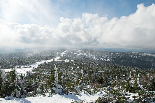 Widok ze Szrenicy