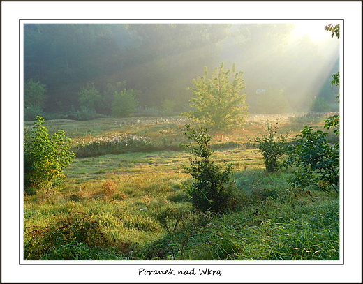 Kosewko. Poranek nad Wkr