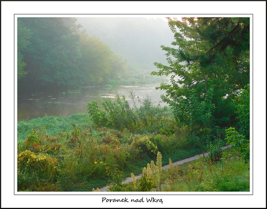 Kosewko. Poranek nad Wkr