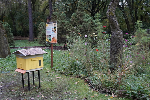 Ogrd Botaniczny - jesienne oblicze...