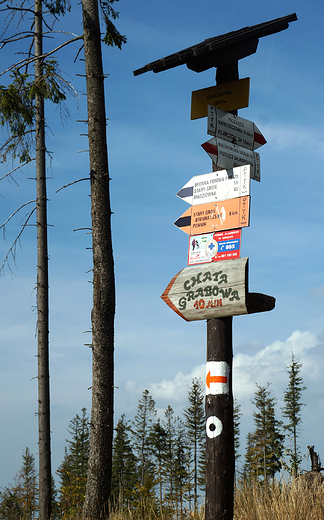 Beskid lski. W drodze na Grabow.