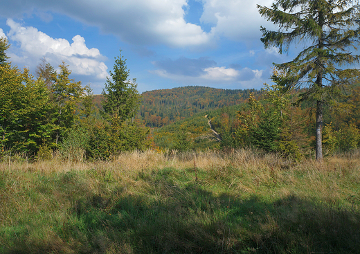 Beskid lski ogldany ze szlaku na Stary Gro.