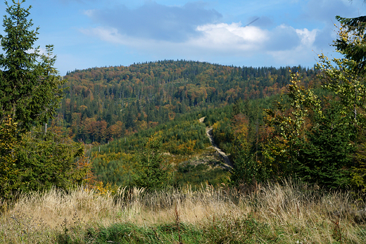 Beskid lski w okolicy Starego Gronia.