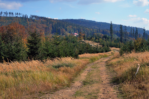 Beskid lski. Po lewej Grabowa 907 mnpm.