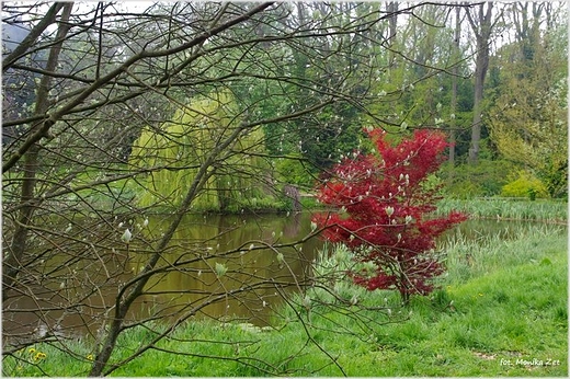 Ogrd Dendrologiczny w Przelewicach