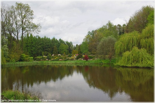 Ogrd Dendrologiczny w Przelewicach