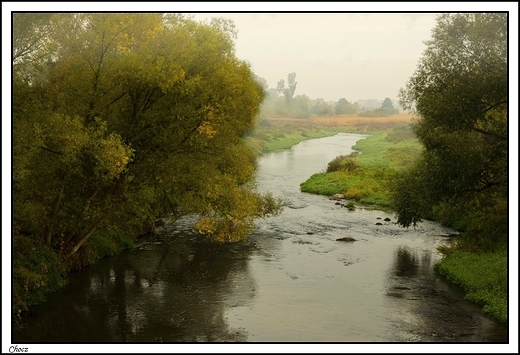 Chocz - rzeka Prosna w jesienny poranek